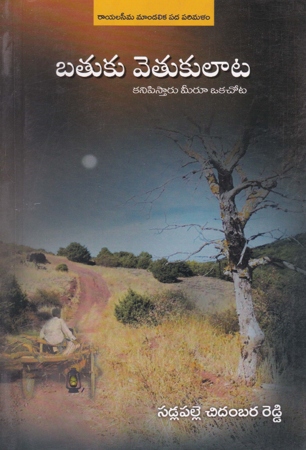 batukuvetukulaata-kanipistaaru-meeru-okachota-బతుకు-వెతుకులాట-కన