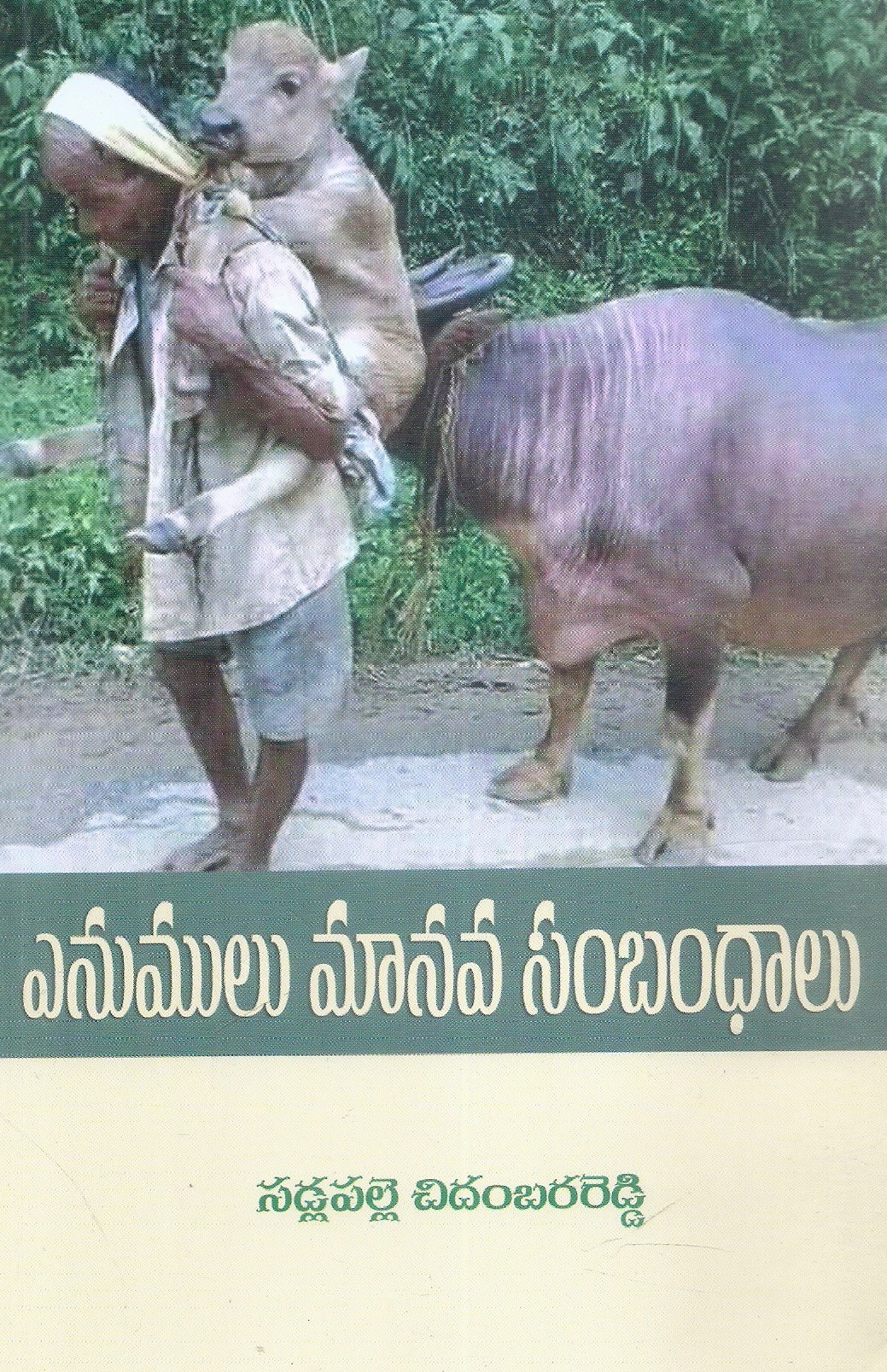 enumulu-manava-sambandhalu-sadlapalle-chidambara-reddy