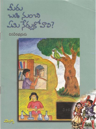 meeru-badi-nunchi-emi-nerchukovali-telugu-book-by-chinaveerabhdrudu