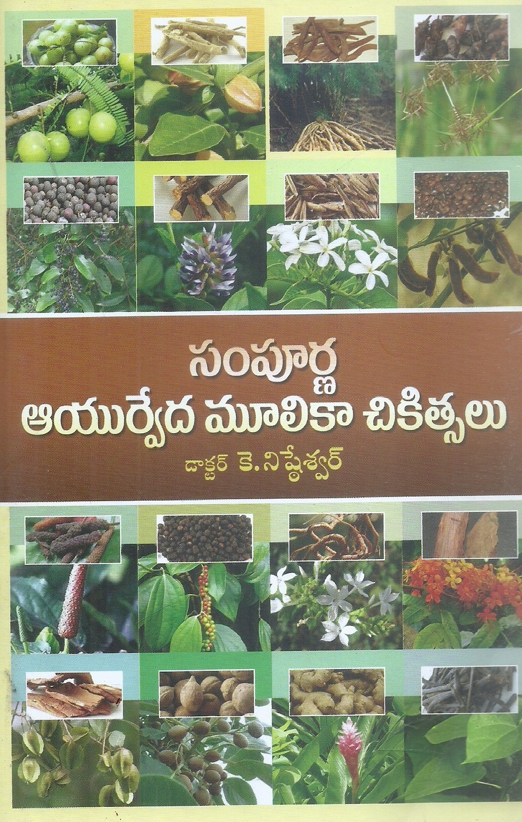 sampurna-ayurveda-mulikachikitsalu-dr-k-nishteswar