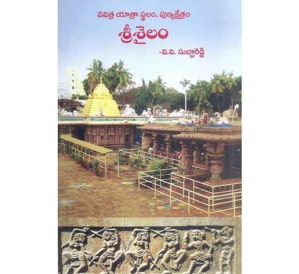 srisailam-v-v-subbareddy
